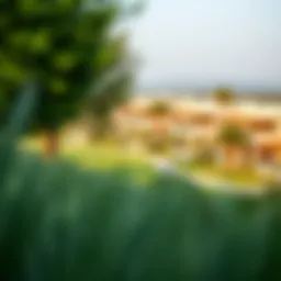 Tranquil landscape of Layan community showcasing lush greenery and modern architecture