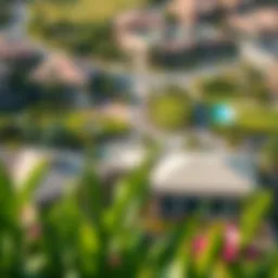 Aerial view of the Meadows community showcasing lush greenery and landscaped gardens
