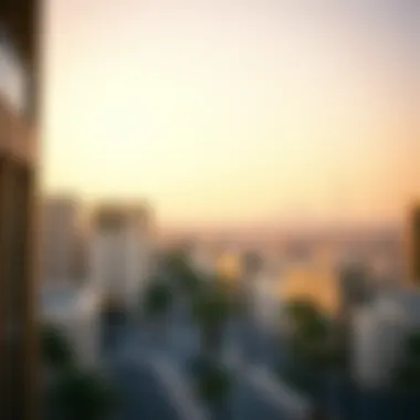 Overview of Neighborhoods in South Dubai Neighborhoods Overview in South Dubai