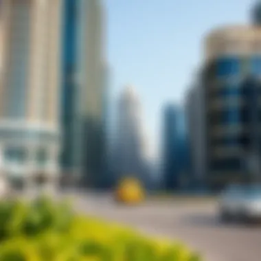 Exploring the Urban Fabric: The Cityscape of Dubai Summary Exploring the Urban Fabric: The Cityscape of Dubai Summary