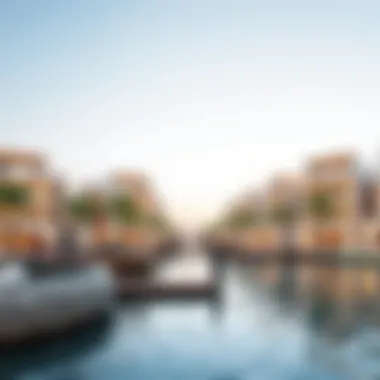 Exploring the Water's Edge on Yas Island: A Comprehensive Overview Summary Exploring the Water's Edge on Yas Island: A Comprehensive Overview Summary