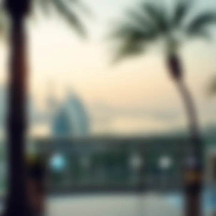 Travel Considerations for UAE Residents Infographic detailing travel considerations for specific destinations