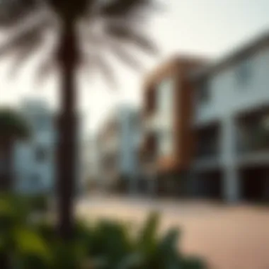 Modern Developments in Hamriya Modern real estate developments in Hamriya neighborhood