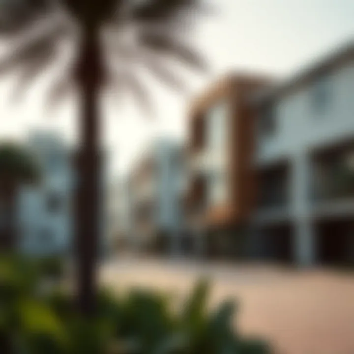 Modern Developments in Hamriya Modern real estate developments in Hamriya neighborhood