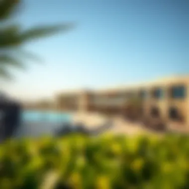 Exceptional Amenities at Joy, Arabian Ranches 3 Luxurious amenities available at Joy, featuring a state-of-the-art fitness center and recreational facilities