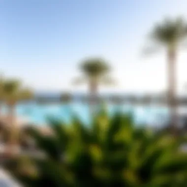 Palm-Tree-Encircled Infinity Pool Luxurious infinity pool surrounded by palm trees