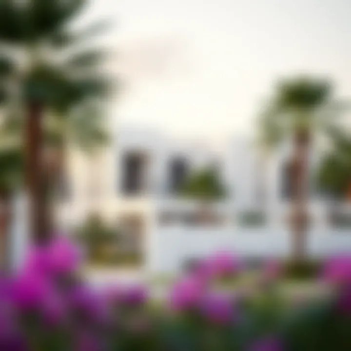 Architectural Renderings of Villas Detailed architectural renderings of residential villas in Arabian Ranches