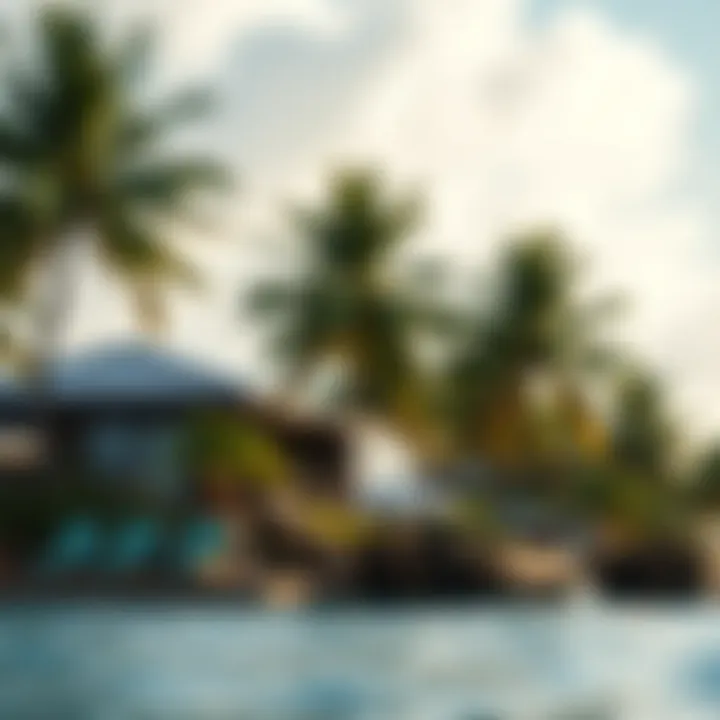 Environmental Insights of Palm Island Environmental impact analysis of Palm Island and surrounding marine life