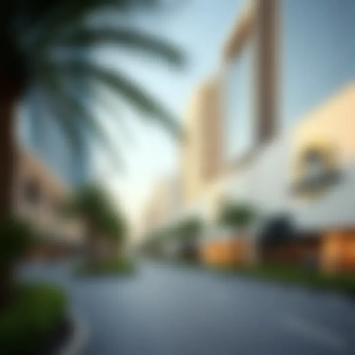 Investment Opportunities at Palm Strip Center Investment opportunities highlighted within the Palm Strip Center