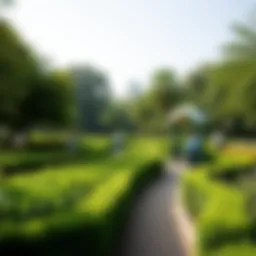 Lush greenery of a Dubai park