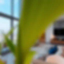 Modern apartment living in JBR