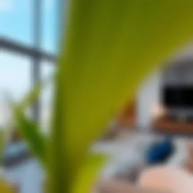 Modern apartment living in JBR