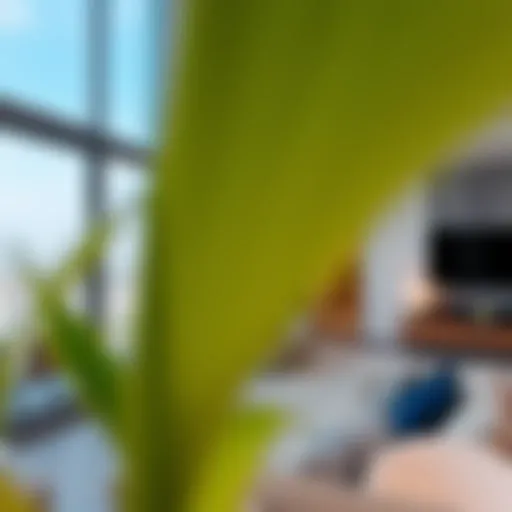 Modern apartment living in JBR