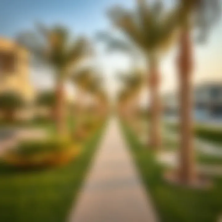 Green parks and recreational areas enhancing the quality of life in Silicon Oasis.