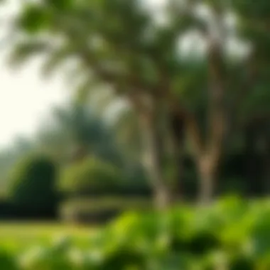 Serene Green Spaces of Sobha Hartland 2 Lush green landscapes surrounding Sobha Hartland 2