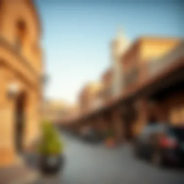 An insight into investment opportunities within Souq Al Emarah