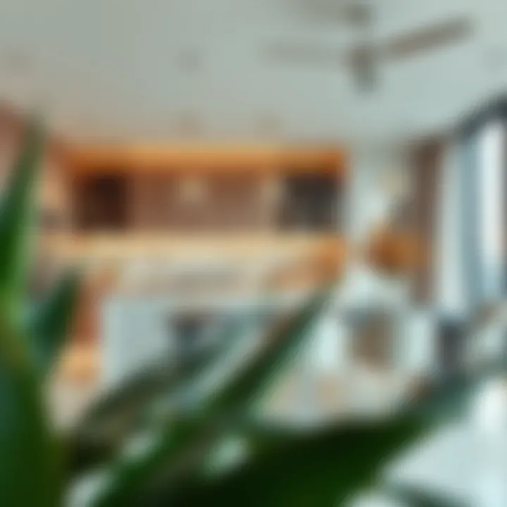 Stylish Open Kitchen Design in Sunrise Bay Tower 1 Open kitchen design in Sunrise Bay Tower 1