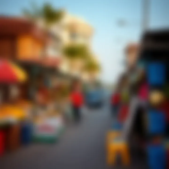 Local Market Vibrancy in Tasheel Bay Avenue Vibrant local market scene in Tasheel Bay Avenue