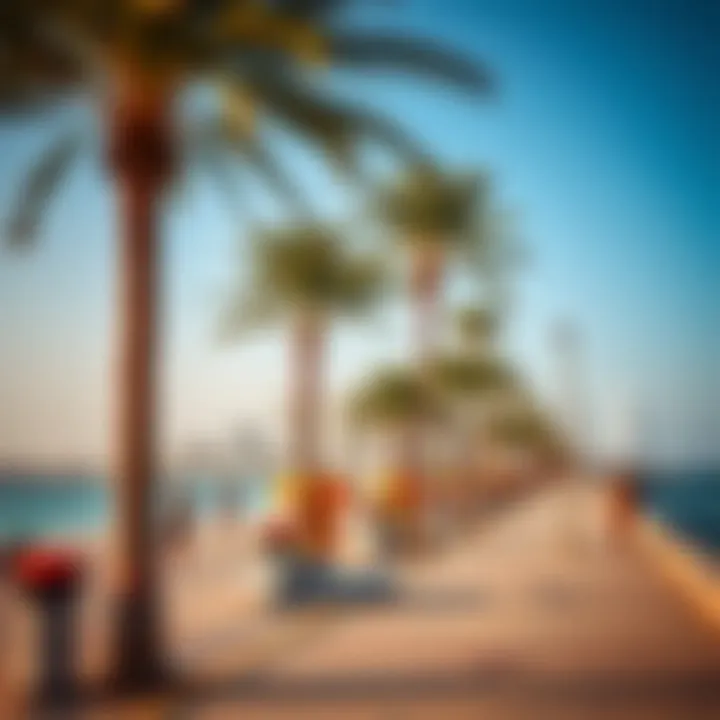Vibrant beachfront area of Palm Jumeirah with palm trees and leisure activities