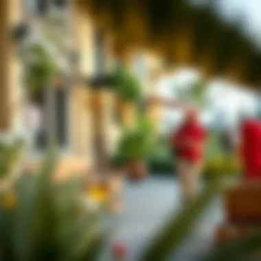 Vibrant community features around rental apartments in Dubai South