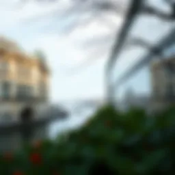 The Influence of the Danube on Real Estate Dynamics Introduction